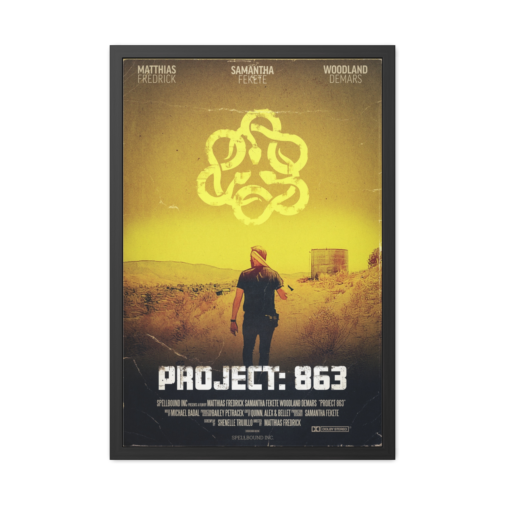 Framed Project: 863 Poster – Vintage Conspiracy Design (Spellbound Inc) - Image 5